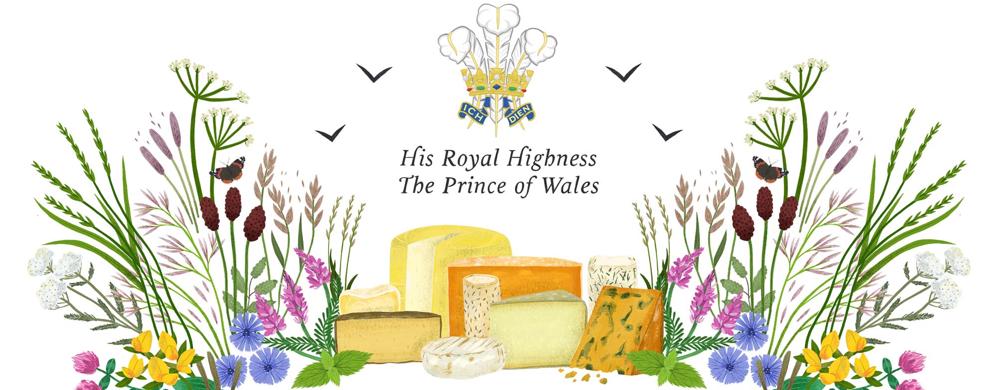 Section of an illustrated cheese plate for Best Artisan Cheese