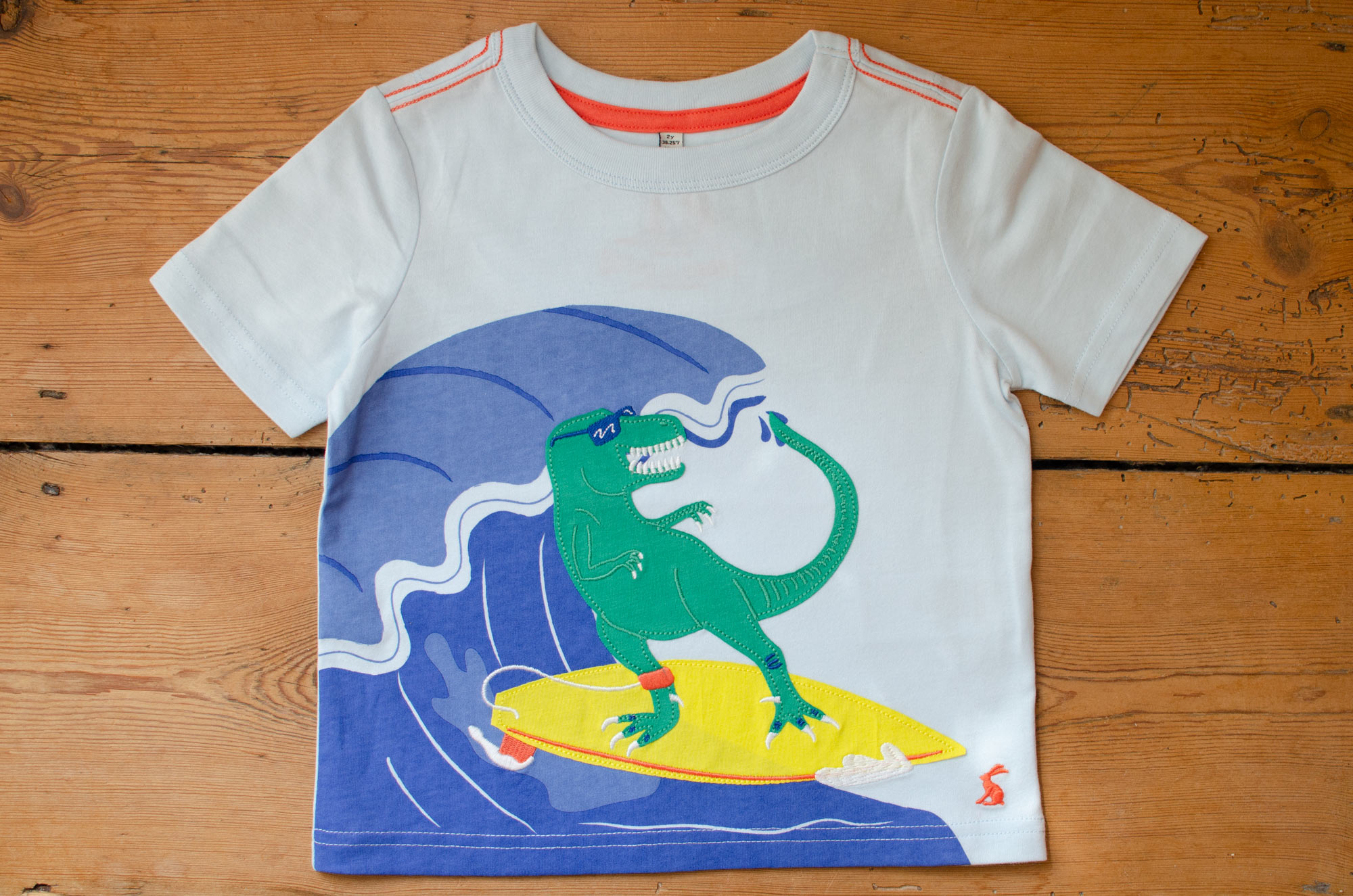 Surfing Dinosaur by Elly Jahnz for Joules