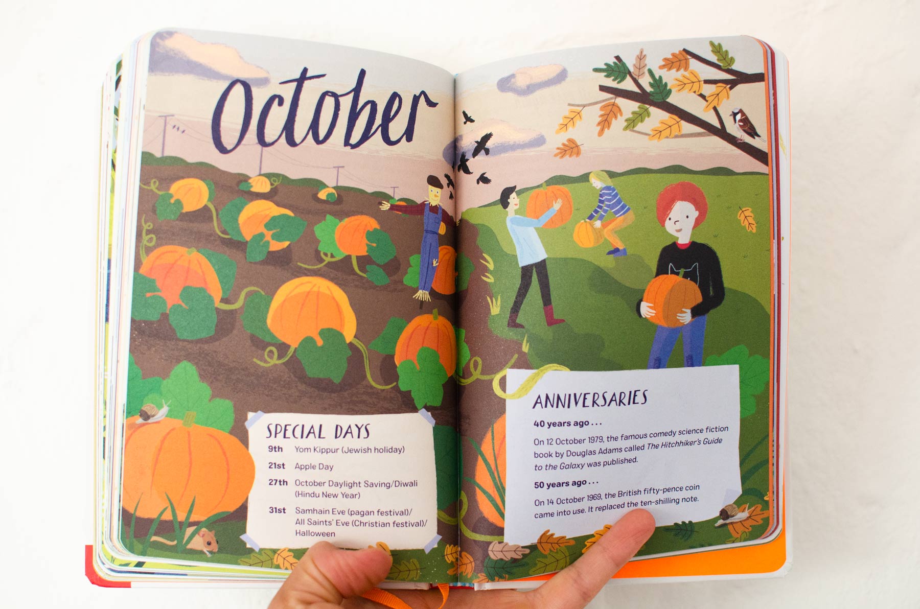 Double page spread from 2019: Nature Month by Month illustrated by Elly Jahnz.