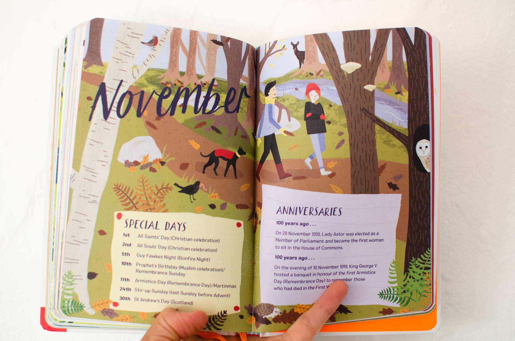 A double page spread for 2019: Nature Month by Month illustrated by Elly Jahnz